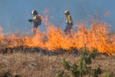 Двое рабочих погибли в субботу при тушении лесных пожаров в Турции - argumenti.ru - Турция - Turkey - провинция Анталья - Манавгат