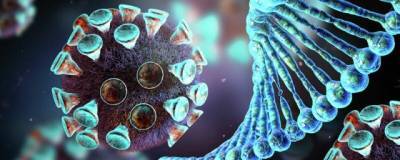Исследование в США показало, что пандемию ковида не победить только вакцинацией - runews24.ru - Сша