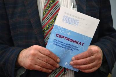 В России появилась новая схема мошенничества с поддельными справками о прививке - govoritmoskva.ru - Россия