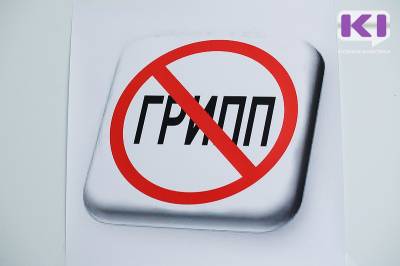 В Коми не зарегистрировано ни одного случая гриппа - komiinform.ru - республика Коми