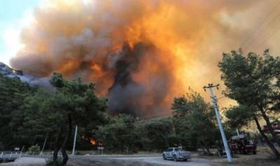 Возможно, пожары в Турции имеют рукотворное происхождение​ - argumenti.ru - Турция