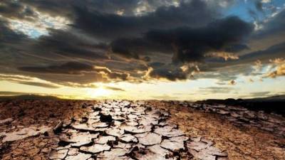 Будет ли засуха в июле 2021 года в Москве - yur-gazeta.ru - Россия - Москва - Московская обл.