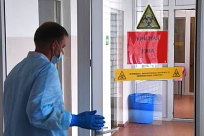 В России выявили максимальное с января число случаев заражения коронавирусом - lenta.ru - Россия