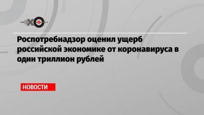 Роспотребнадзор оценил ущерб российской экономике от коронавируса в один триллион рублей - echo.msk.ru