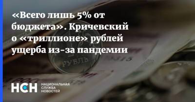 «Всего лишь 5% от бюджета». Кричевский о «триллионе» рублей ущерба из-за пандемии - nsn.fm - Россия