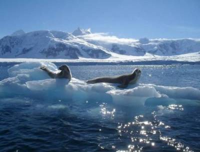 Южный океан теплеет и это ведет к стремительному таянию ледников - argumenti.ru