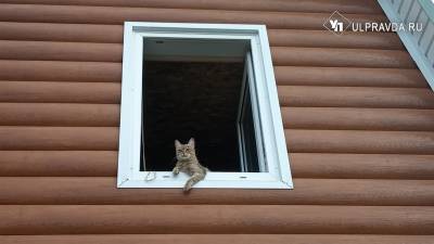 Дача для отдыха. Посчитали: выгодно или затратно - ulpravda.ru