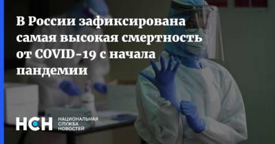 В России зафиксирована самая высокая смертность от COVID-19 с начала пандемии - nsn.fm - Россия