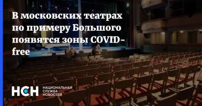 Андрей Воробьев - В московских театрах по примеру Большого появятся зоны COVID- free - nsn.fm