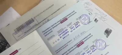 В МВД Карелии рассказали, какое наказание ждет купившего поддельный сертификат о вакцинации - stolicaonego.ru - республика Карелия