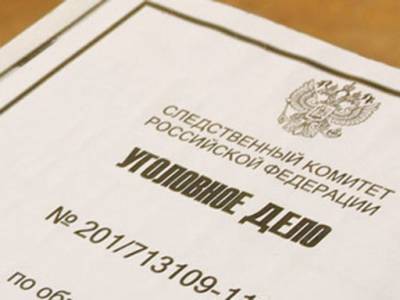 Андрей Клишас - В Москве за неделю завели 14 дел из-за поддельных документов из-за коронавируса - nakanune.ru - Москва