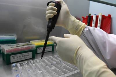 Латвия введет тестирование на коронавирус на границе с Россией и Белоруссией - lenta.ru - Россия - Белоруссия - Латвия