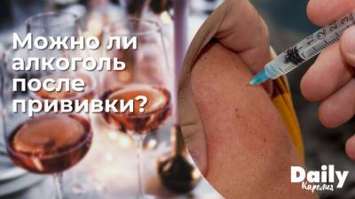 Анна Попова - Можно ли пить алкоголь после прививки от коронавируса? - gubdaily.ru - Россия