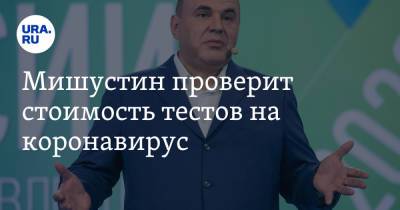 Михаил Мишустин - Мишустин проверит стоимость тестов на коронавирус - ura.news - Россия
