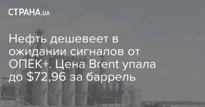 Нефть дешевеет в ожидании сигналов от ОПЕК+. Цена Brent упала до $72,96 за баррель - strana.ua - Украина
