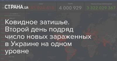 Ковидное затишье. Второй день подряд число новых зараженных в Украине на одном уровне - strana.ua - Украина