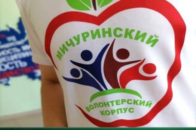 Мичуринские волонтёры продолжают помогать пожилым горожанам в период пандемии - tambov.mk.ru