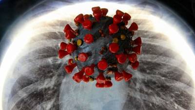 Павел Волчков - Эксперт объяснил возможность появления «суперштамма» коронавируса - iz.ru - Израиль