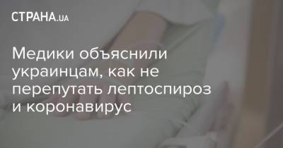 Медики объяснили украинцам, как не перепутать лептоспироз и коронавирус - strana.ua - Украина
