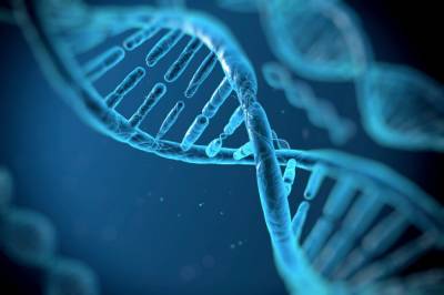 Генетика человека может стать причиной тяжелой формы COVID-19 - ufacitynews.ru