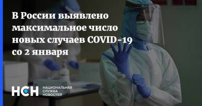В России выявлено максимальное число новых случаев COVID-19 со 2 января - nsn.fm - Россия