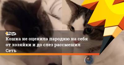 Кошка не оценила пародию на себя от хозяйки и до слез рассмешил Сеть - ridus.ru