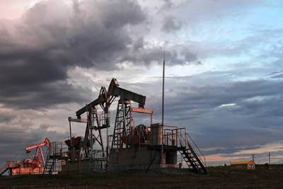 Россия впервые в году нарастила доходы от экспорта нефти - lenta.ru - Россия