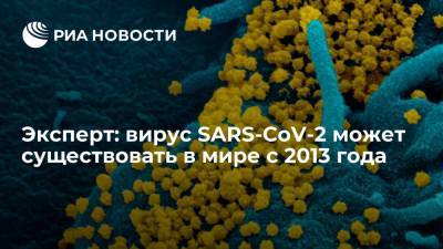 Елизавета Исакова - Дидье Питт - Эксперт считает, что вирус SARS-CoV-2 может существовать в мире с 2013 года - ria.ru