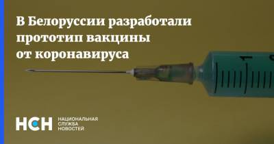 Владимир Гусаков - В Белоруссии разработали прототип вакцины от коронавируса - nsn.fm - Белоруссия