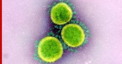 Дидье Питт - Вызывающий COVID-19 вирус может существовать в мире с 2013 года, заявили в Швейцарии - profile.ru - Китай - Ухань - Швейцария