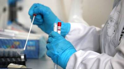 В Ленобласти выявили 239 новых случаев коронавируса 1 августа - ivbg.ru - Ленобласть обл. - Украина