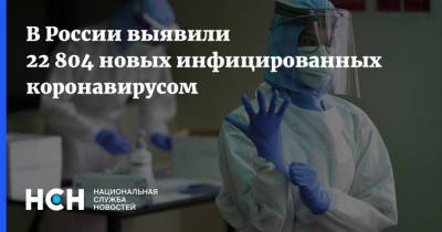 В России выявили 22 804 новых инфицированных коронавирусом - nsn.fm - Россия