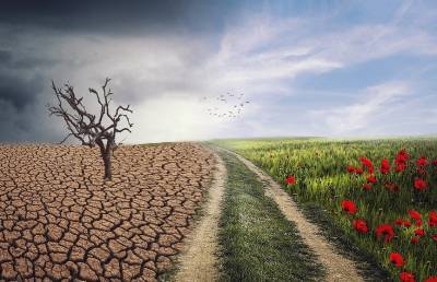 Ученые предупредили об ухудшении «жизненно важных функций» Земли - ont.by - Белоруссия - Сша - штат Орегон