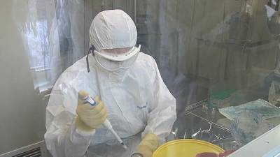 Ученые: исчезновение коронавирусов маловероятно - vesti.ru - Англия
