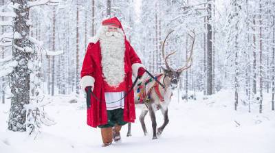Финский Санта-Клаус сделал прививку от коронавируса - belta.by - Белоруссия - Минск - Рованиеми