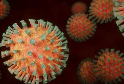 Ученые разработали новый метод обнаружения штаммов коронавируса - online47.ru