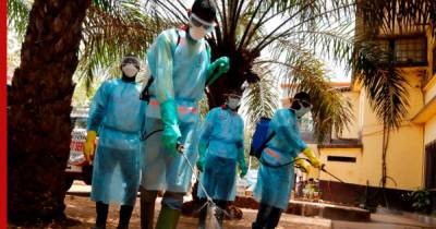 В Гвинее выявили смертельную лихорадку Марбург, от которой нет лекарств - profile.ru - Гвинея