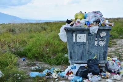 Жители Новосибирска вновь жалуются на горы мусора во дворах - runews24.ru - Новосибирск
