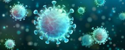 Испанские ученые выявили новую защиту организма от вируса SARS-CoV-2 - runews24.ru