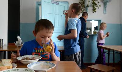 Следователи возбудили дело после массового отравления детей на сборах под Ростовом - newizv.ru - Россия
