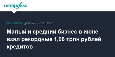 Малый и средний бизнес в июне взял рекордные 1,06 трлн рублей кредитов - interfax.ru - Россия - Москва