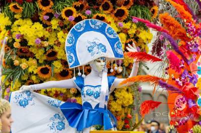 Ежегодный фестиваль цветов пройдет в Петербурге в начале сентября - ivbg.ru - Санкт-Петербург - Украина