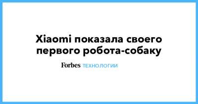 Xiaomi показала своего первого робота-собаку - forbes.ru