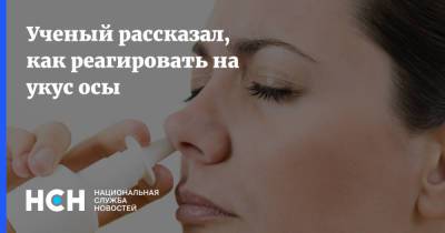 Людмила Ганушкина - Ученый рассказал, как реагировать на укус осы - nsn.fm