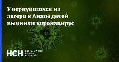 У вернувшихся из лагеря в Анапе детей выявили коронавирус - nsn.fm - Анапа - Смоленск
