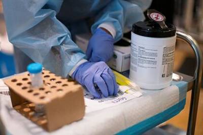 Ученые в США сообщили о штамме коронавируса с летальностью выше 82 процентов - lenta.ru - Сша - Нью-Йорк - Нью-Йорк