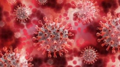 В США был найден новый штамм коронавируса, от которого умирают чаще - bash.news - Сша - Колумбия - Нью-Йорк