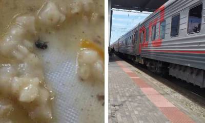 Отравившихся в поезде детей кормили кашей с насекомыми - gubdaily.ru - Краснодарский край - республика Карелия