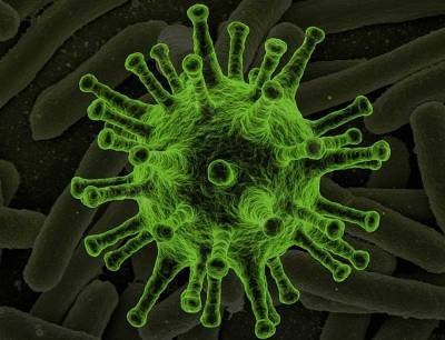 Стало известно о новом штамме коронавируса с летальностью выше 82% - newsland.com - Сша - Нью-Йорк - Нью-Йорк