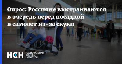 Опрос: Россияне выстраиваются в очередь перед посадкой в самолет из-за скуки - nsn.fm